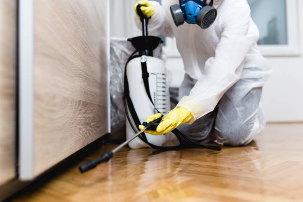 Best Best Pest Control Companies  in Patterson Tract, CA