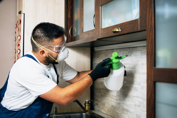Best Bed Bug Extermination  in Patterson Tract, CA