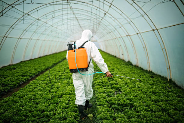 Best Mosquito Control Services  in Patterson Tract, CA