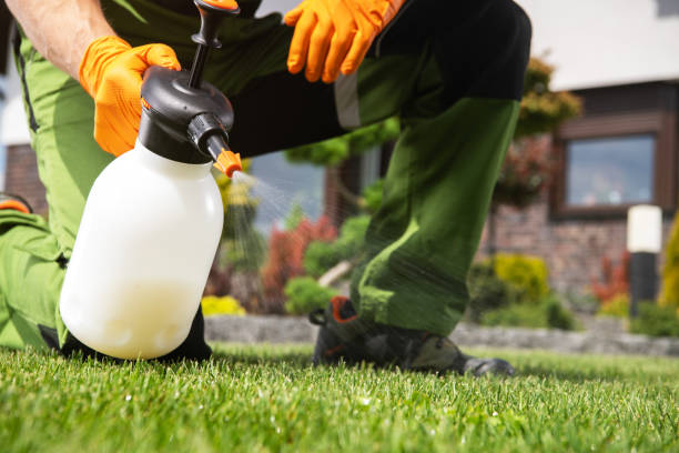Best Wildlife Control Services  in Patterson Tract, CA