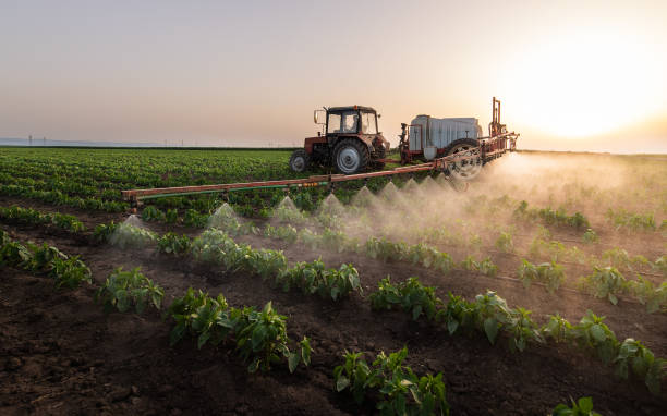 Best Best Pest Control Companies  in Patterson Tract, CA