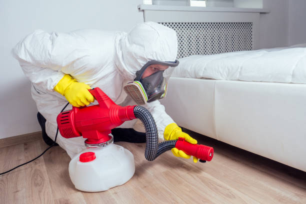 Best Flea Control Services  in Patterson Tract, CA