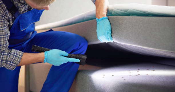Best Rat Extermination Near Me  in Patterson Tract, CA
