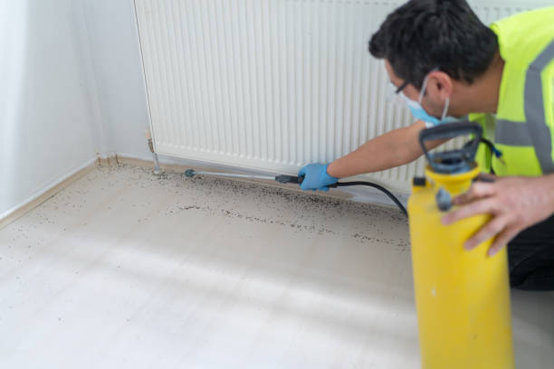 Best Termite Control Services  in Patterson Tract, CA