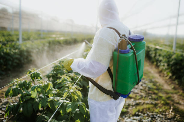 Best Mosquito Control Services  in Patterson Tract, CA